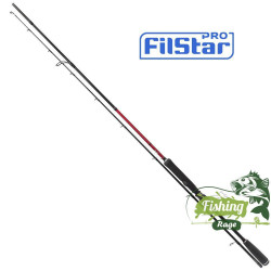 Спининг Въдица Filstar Nomad Spin 2.70м  40 - 100гр