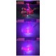 ДЕТСКА ВЪДИЦА + МАКАРА KINETIC RAMASJANG CC PINK 2.10см