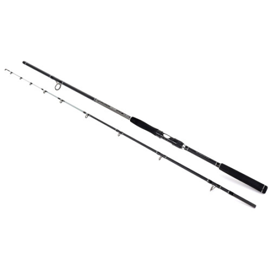 Formax Black River, 2.70 м, 100-380 г, Въдица за риболов на сом