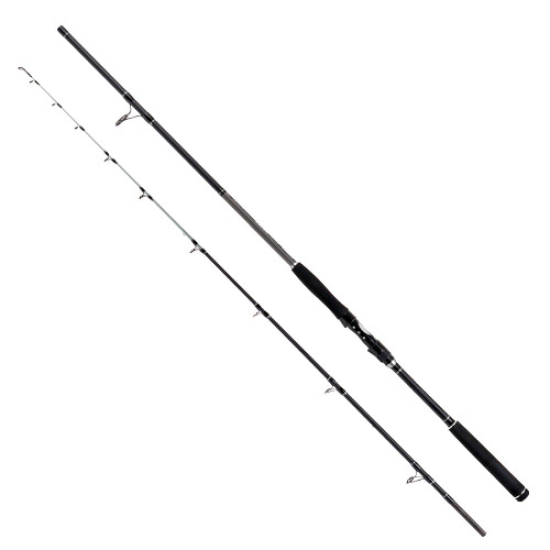 Formax Black River, 2.70 м, 80-240 г, Въдица за риболов на сом