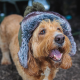 Зимна шапка Fox Trapper Hat – Green
